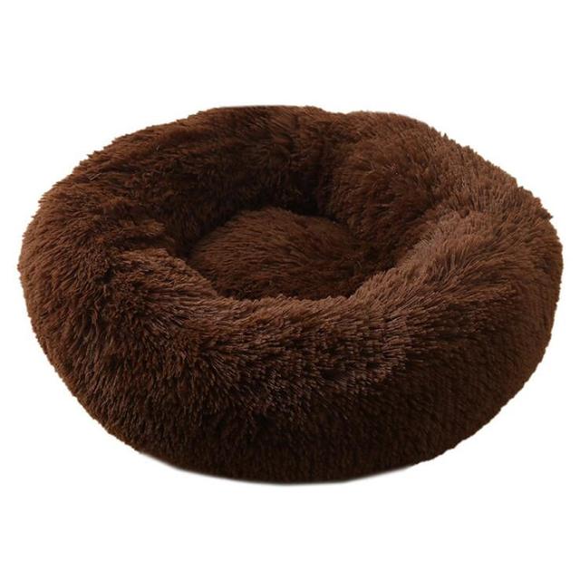 Dog Bed