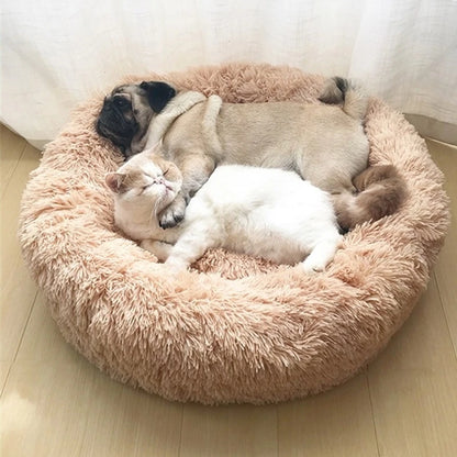 Dog Bed