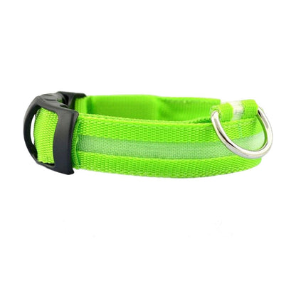 Dog Glowing Collar