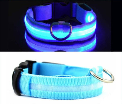 Dog Glowing Collar