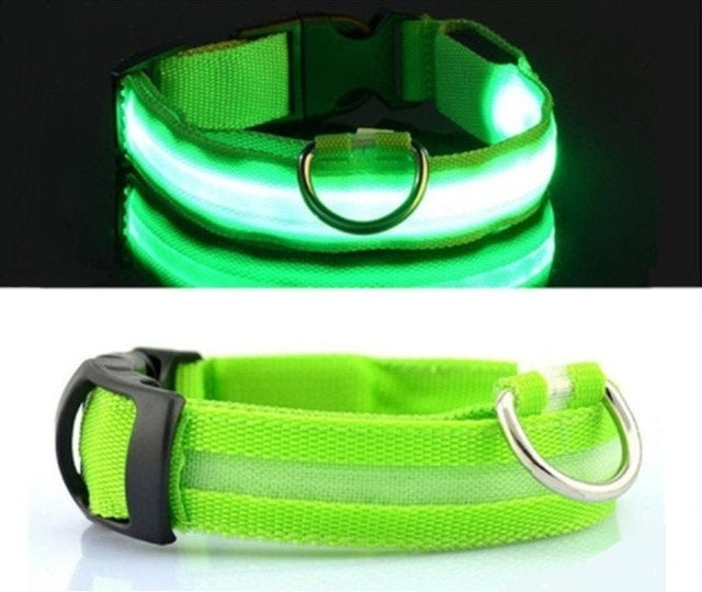 Dog Glowing Collar