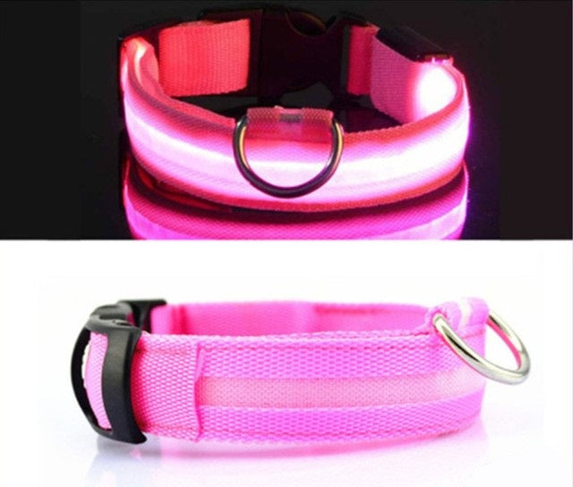 Dog Glowing Collar