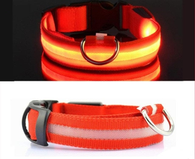 Dog Glowing Collar