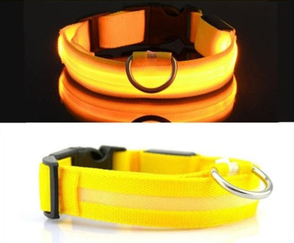 Dog Glowing Collar