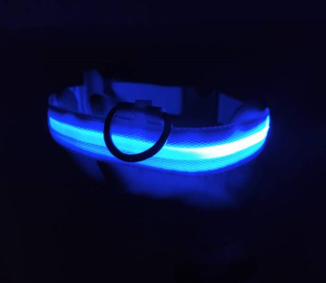 Dog Glowing Collar