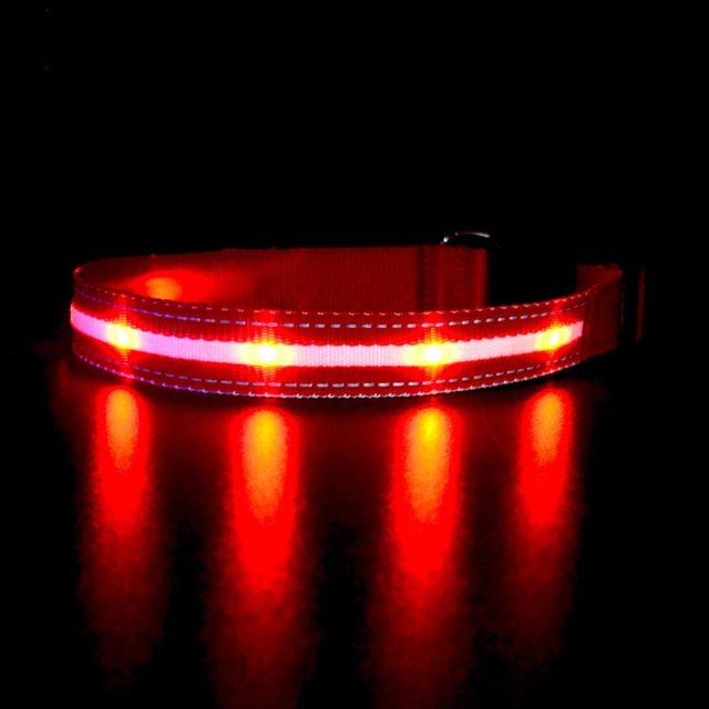 Dog Glowing Collar