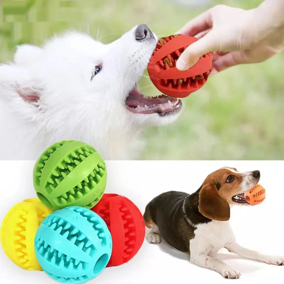 Dog Chew Ball