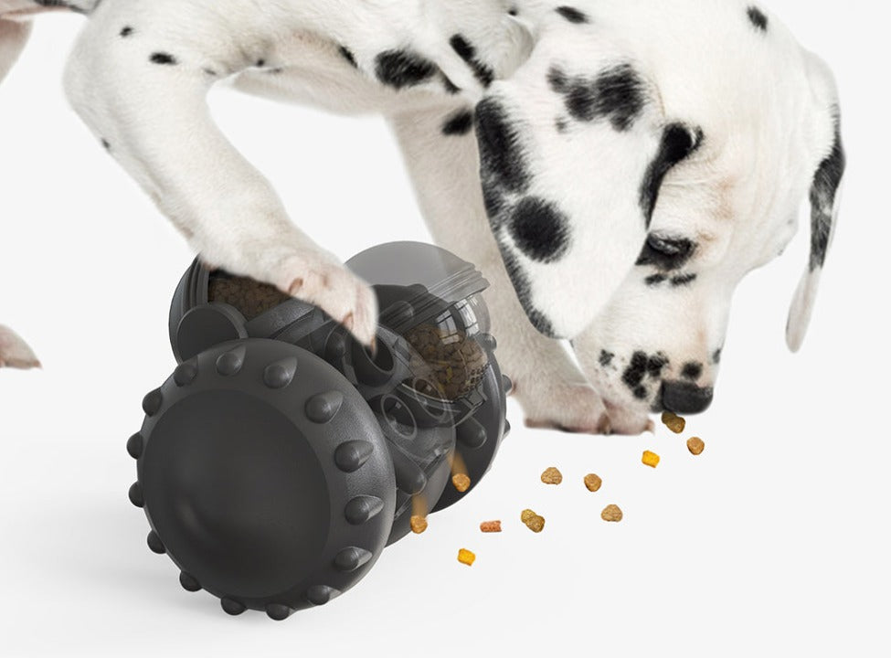 Dog Tumbler